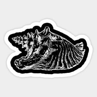 Seashell Sticker